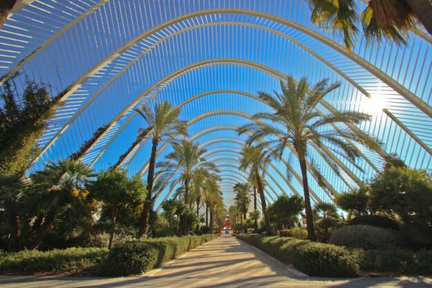 The City of Arts & Sciences in the Turia Gardens of Valencia