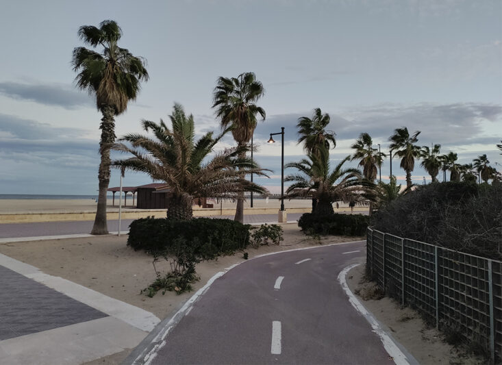 Bicycle lane and palm trees on the beach of Valencia in the Cabanyal