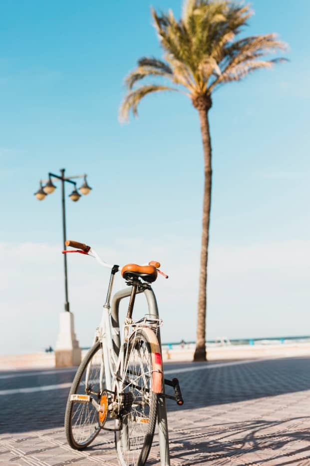 Alquila bicicletas en zona puerto Valencia - Palmera