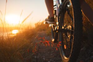 alquiler de bicicletas valencia - sunset