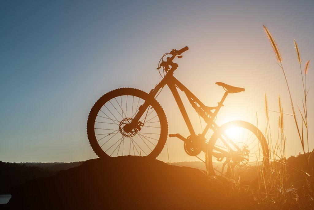 alquiler de bicicletas valencia - paisaje