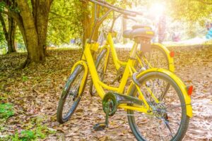 alquilar bicis en Valencia-bici amarilla