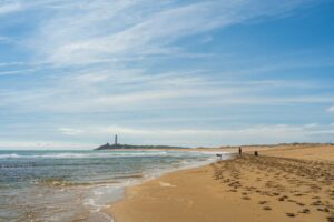 alquiler de bicis en Valencia-playa