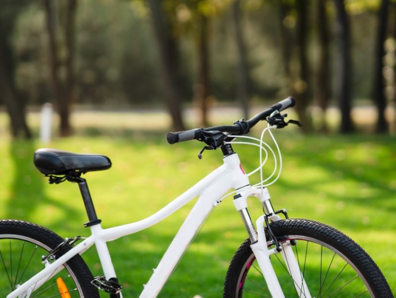 Alquiler de bicis en Valencia - Verde