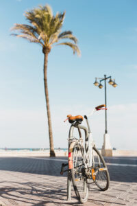 Alquiler bicicletas en Valencia-palmera