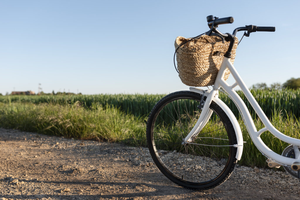 Bicis de alquiler en Valencia-cesped