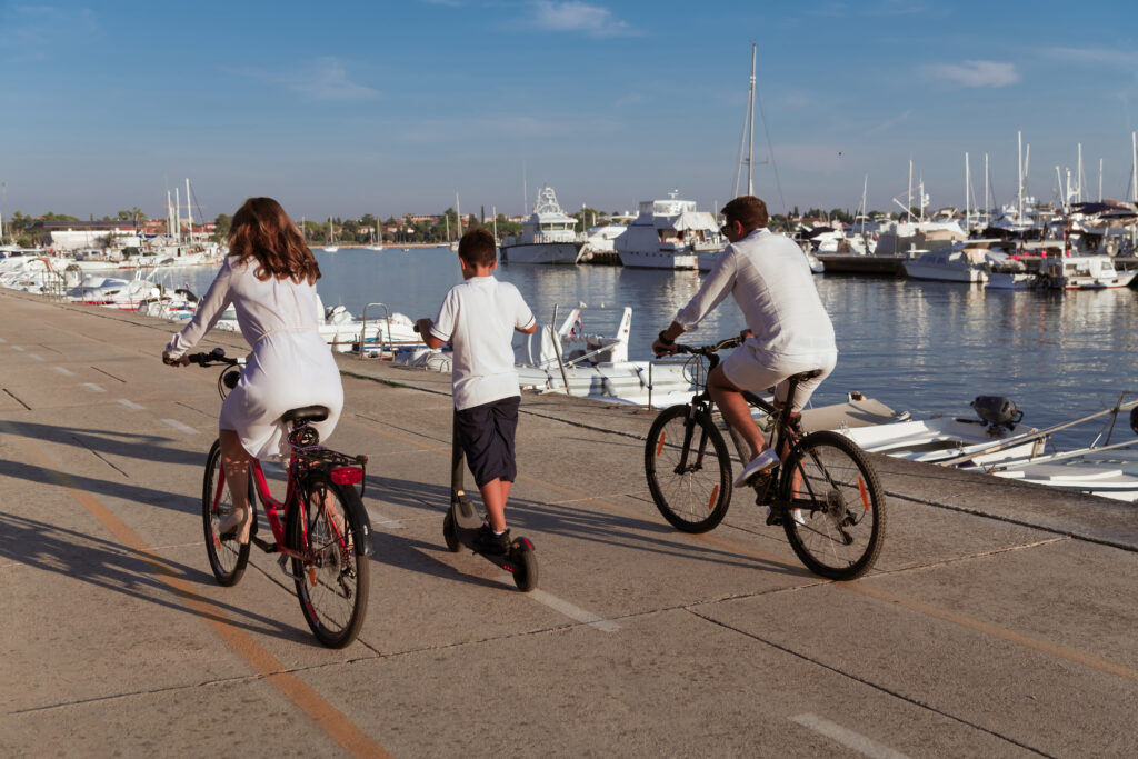 alquiler de bicicletas en la zona puerto-familia